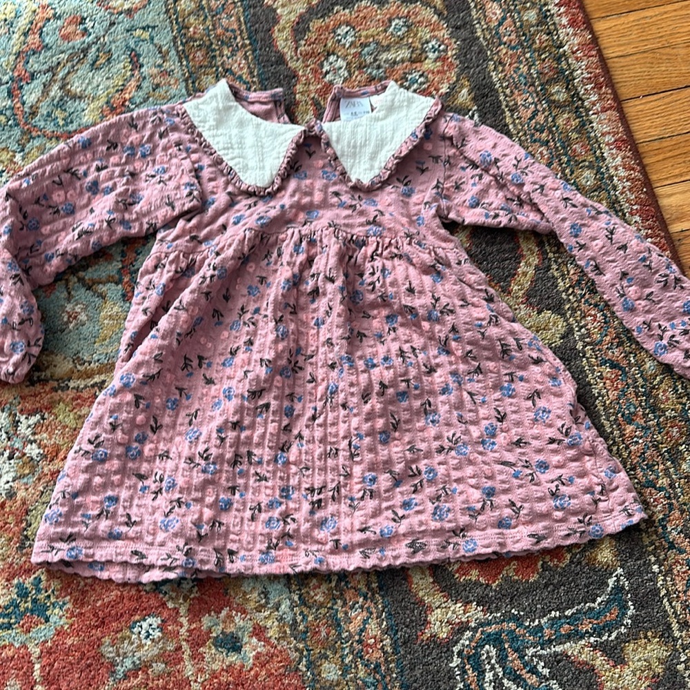 Toddler girls Zara dress